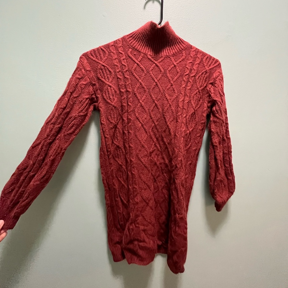 Turtle Neck Sweater Dress